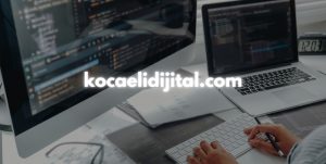 İzmir ve Kocaeli Web Tasarım