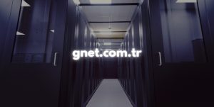 Gnet Hosting Sağlayıcısı!